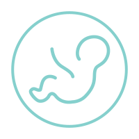 Icon of a baby symbolizing Saving Moses' focus on infant care and support for malnutrition and vulnerable children.
